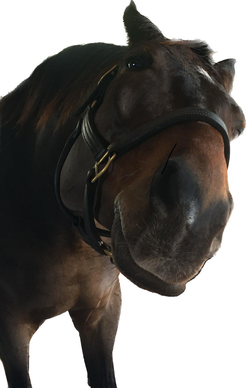 All Services and Supportive Products