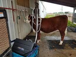 Farm and Show Livestock MargnaWave PEMF Services