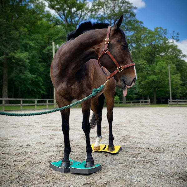 SureFoot Balance Pad Session