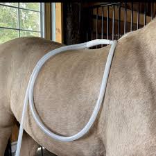 Equine MagnaWave PEMF Services