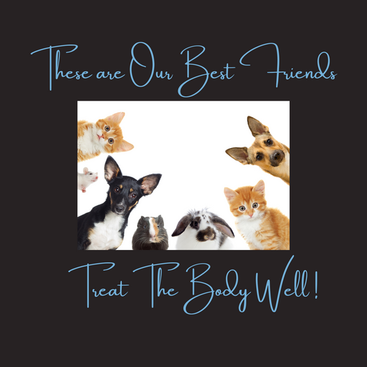 MagnaWave Companion Pet Service