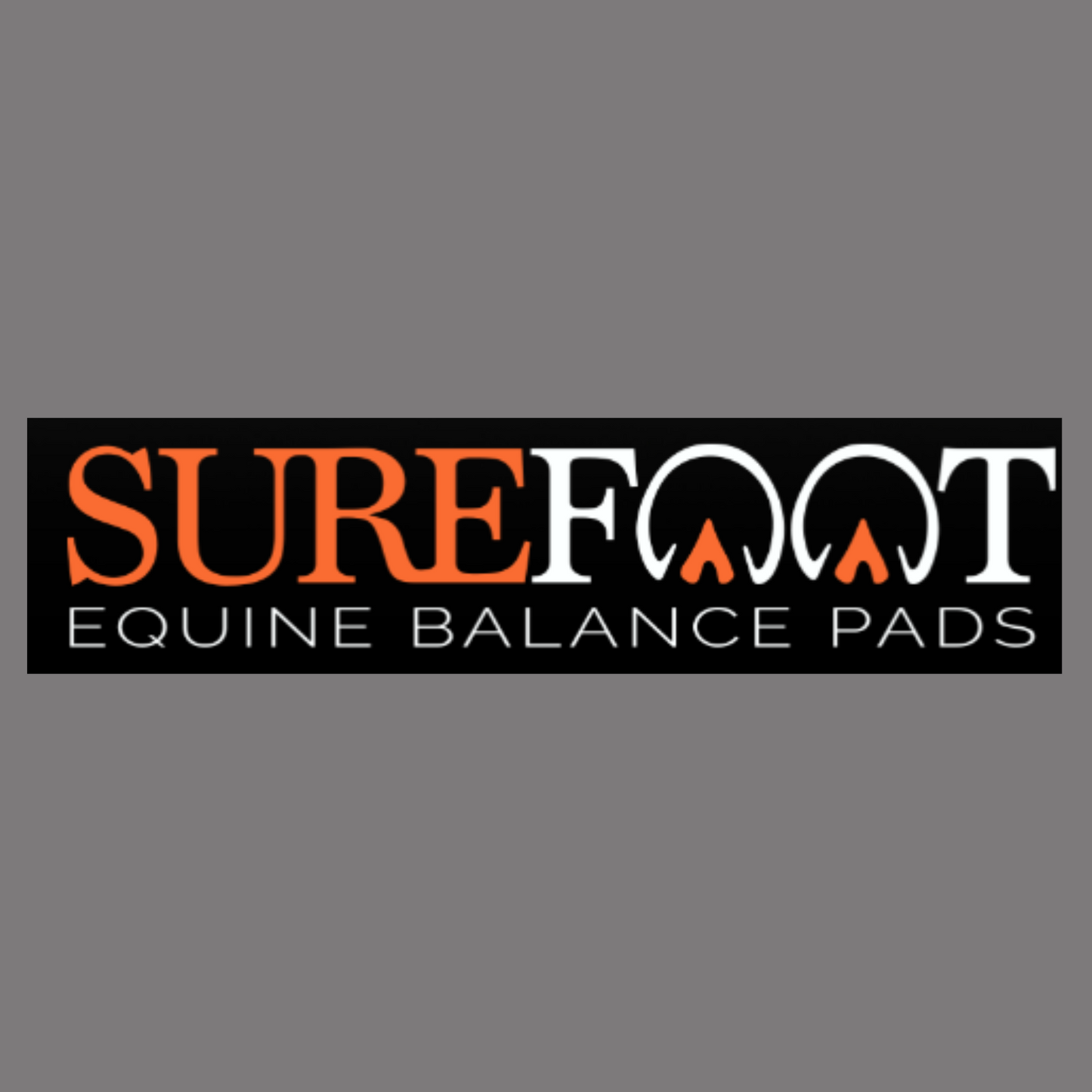 SureFoot Balance Pad Session