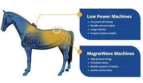 Equine MagnaWave PEMF Services