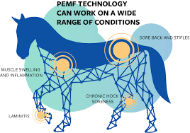 Equine MagnaWave PEMF Services