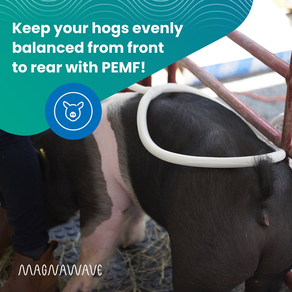 Farm and Show Livestock MargnaWave PEMF Services
