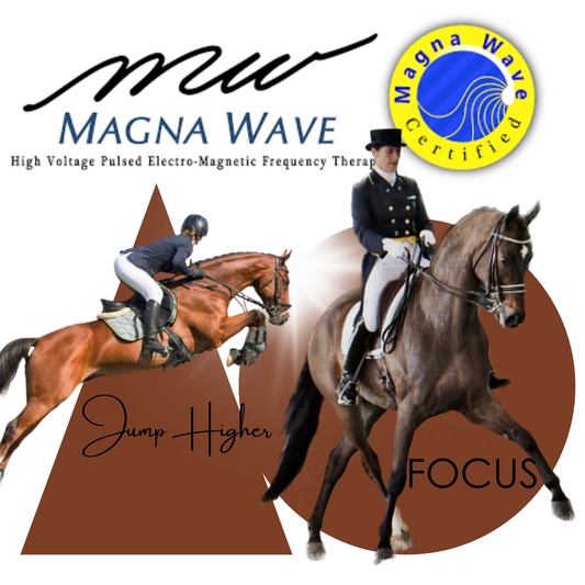 Equine MagnaWave PEMF Services