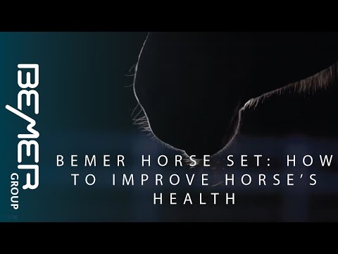 Bemer Horse Session – SportHorse Performance Collection LLC